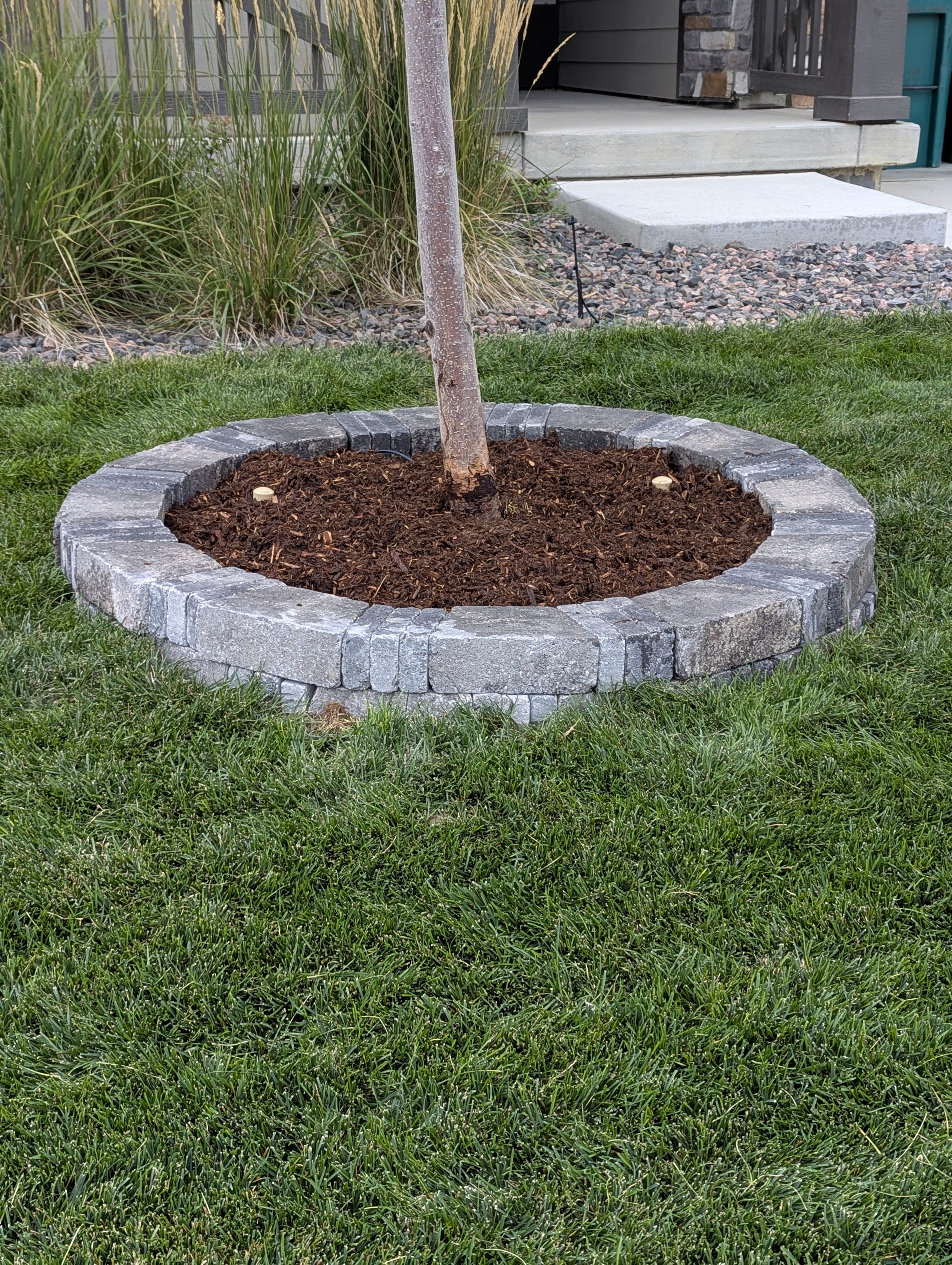 Tree Ring, Home Improvement, Morrison, Colorado
